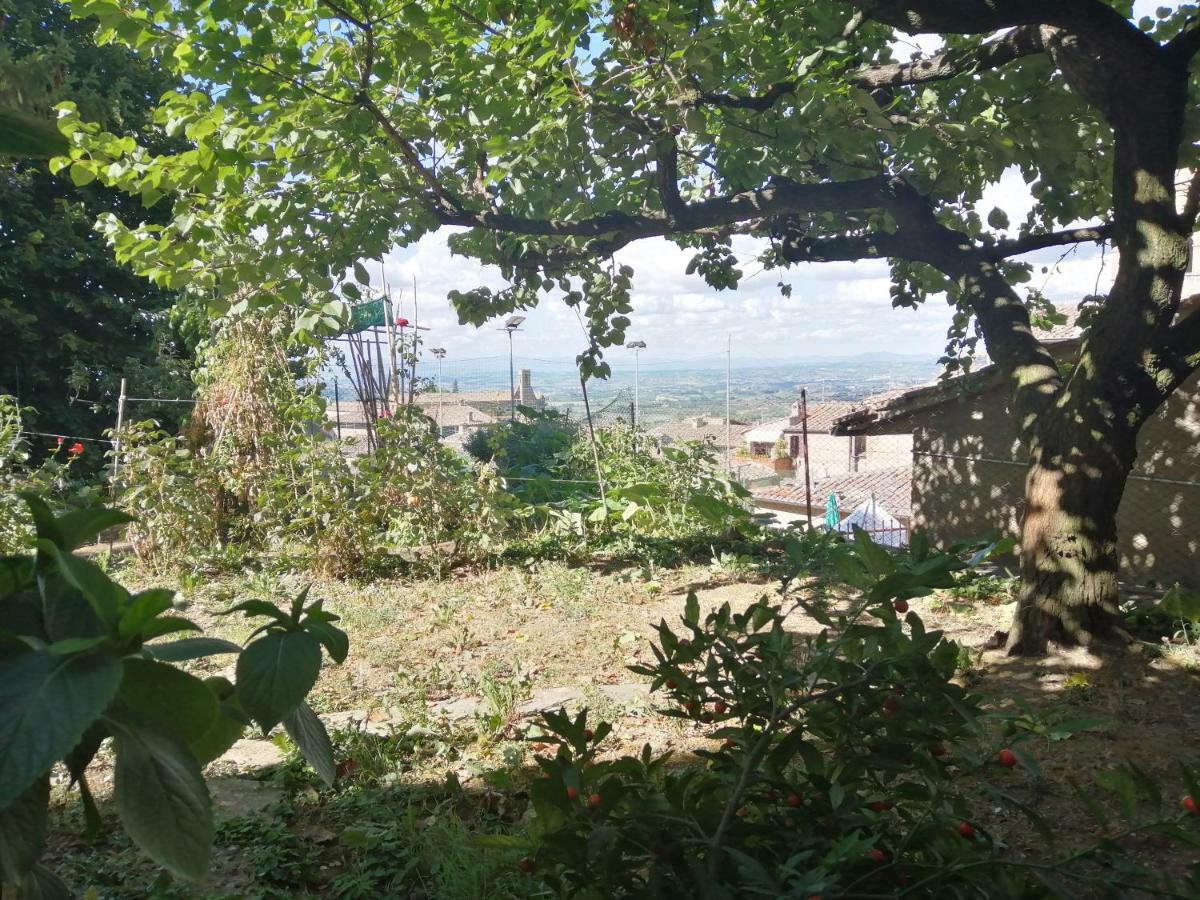 Orto Di Emma Daire San Gimignano Dış mekan fotoğraf