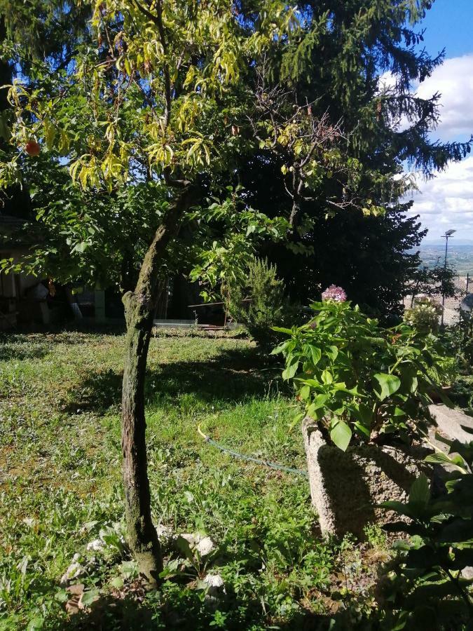 Orto Di Emma Daire San Gimignano Dış mekan fotoğraf